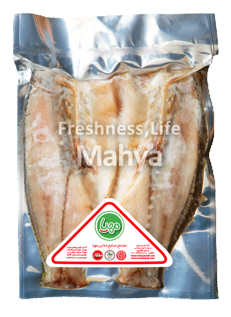   Seabass fish fillet